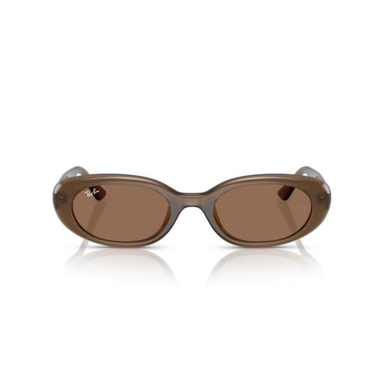  레이밴 선글라스 RB4441D 677973 Brown - RAY BAN