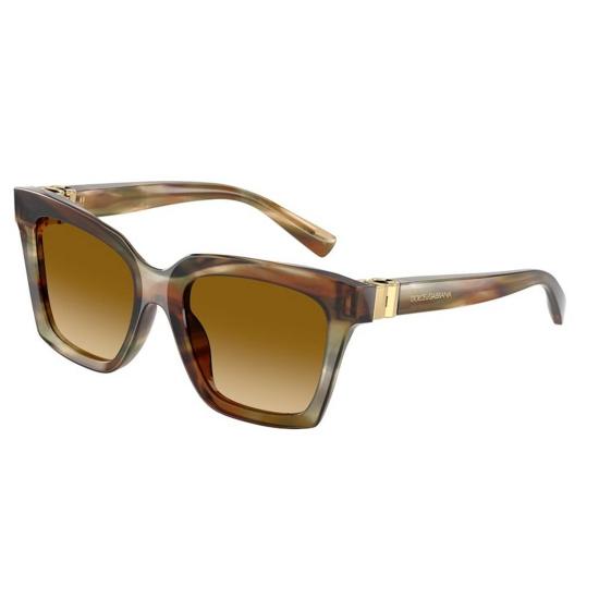 돌체앤가바나 선글라스 DG4498 34462L Brown