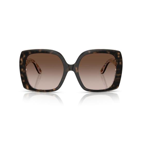  돌체앤가바나 선글라스 DG4475 321713 Havana - DOLCE & GABBANA