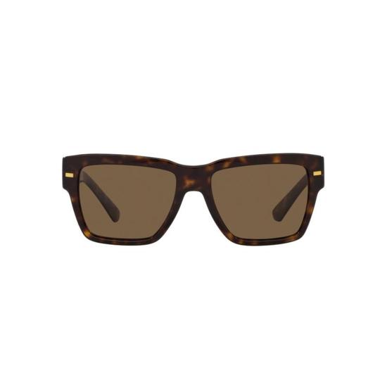  돌체앤가바나 선글라스 DG4431 502 73 Havana - DOLCE & GABBANA