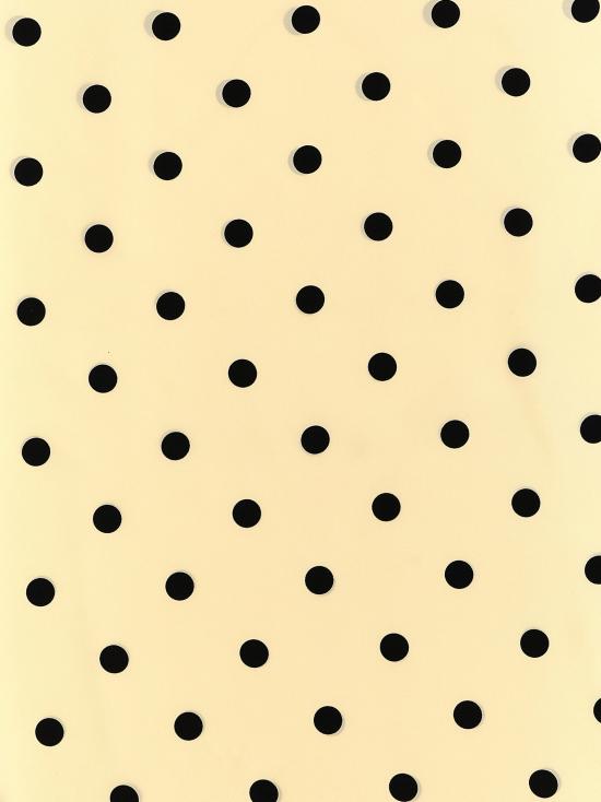 25FW 발렌티노 가라바니 머플러/스카프 W2EI114WFMQT3 - VALENTINO GARAVANI