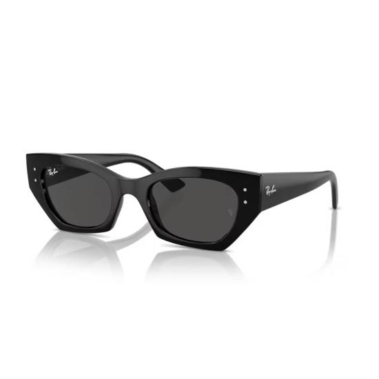  레이밴 선글라스 RB4430 667787 Black - RAY BAN