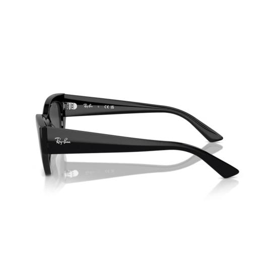  레이밴 선글라스 RB4430 667787 Black