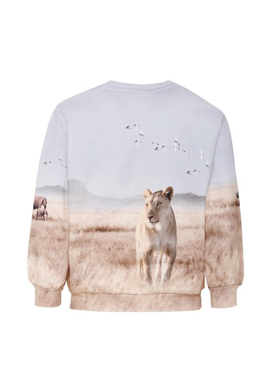 25FW [키즈] 몰로 니트/스웻셔츠 1W25J209 9656 BEIGE - MOLO