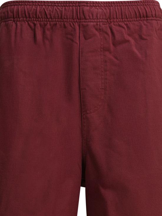 25FW 스투시 숏팬츠 1123340606 WINE Bordeaux - STUSSY