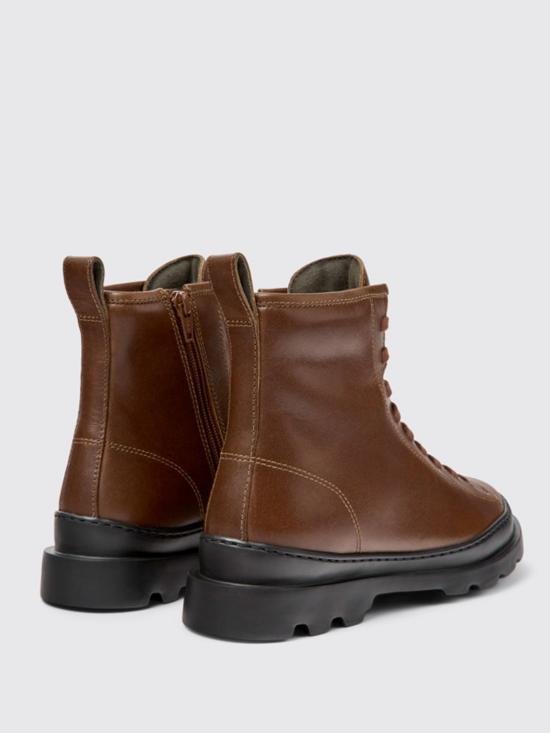 K400325 036 BRUTUS 0 Brown