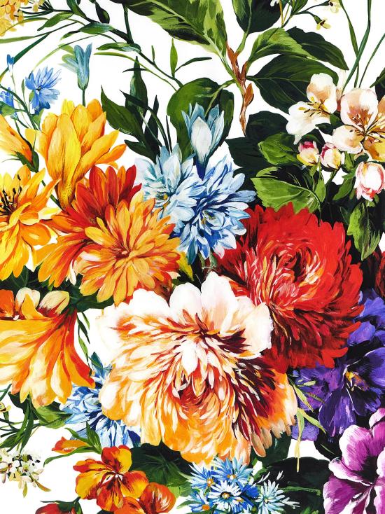 25FW 돌체앤가바나 머플러/스카프 FN090RGDC7CHS5PC Multicolor - DOLCE & GABBANA