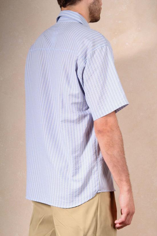  더 엔케이씨 스토어 반팔 셔츠 Nkc 스토어 에디 반팔 버튼 다운 - The NKC Store