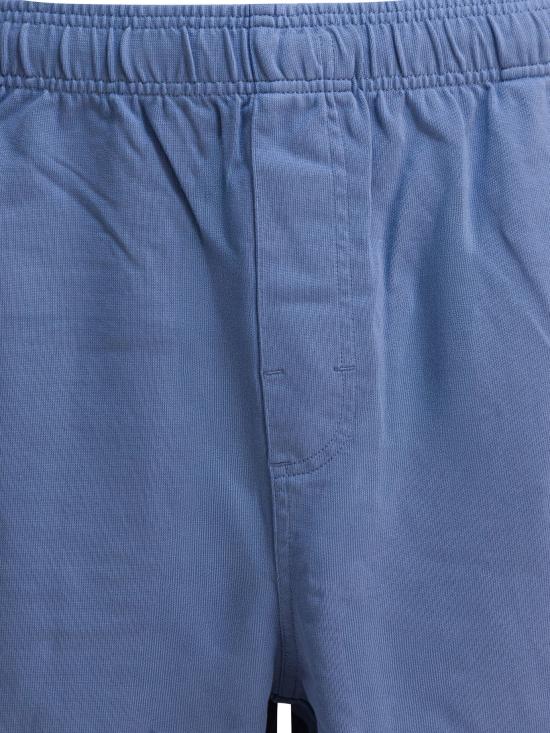 25SS 스투시 숏팬츠 1123340801BLUE - STUSSY