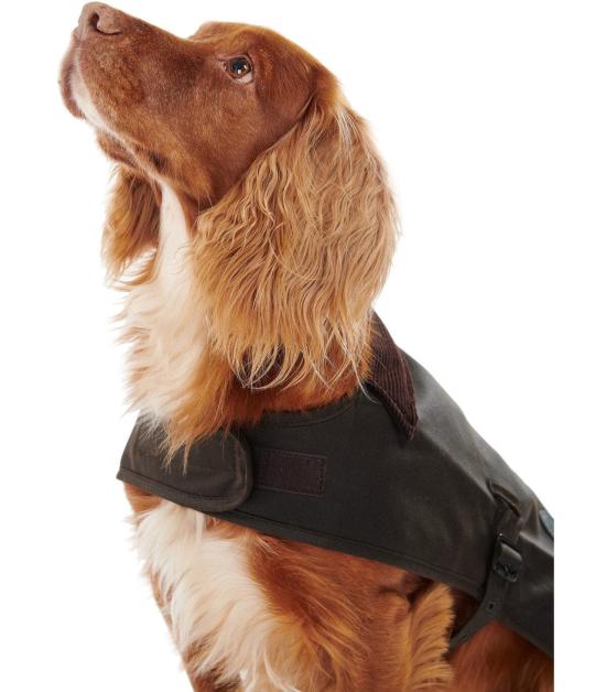  바버 애견 코트 DCO0003 OL71 XS Green - BARBOUR