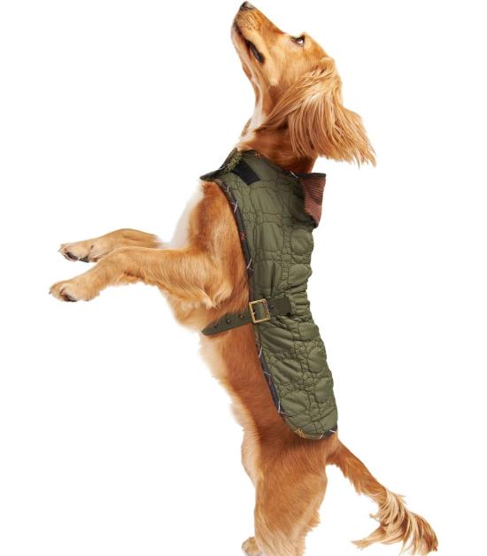  바버 애견 코트 DCO0053 OL91 XS Green - BARBOUR