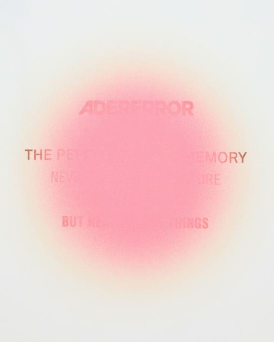 25SS 아더에러 반팔 티셔츠 BO01SSTS0112PK PINK - ADER ERROR