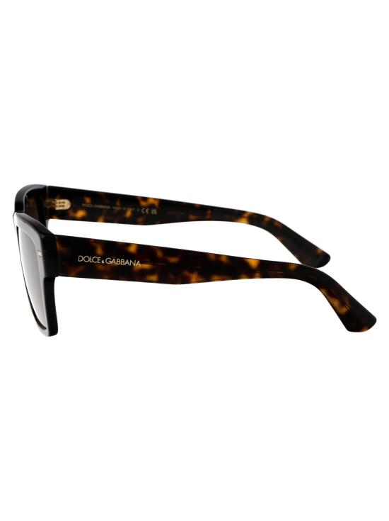 26SS 돌체앤가바나 선글라스 0DG4431 502 73 havana - DOLCE & GABBANA