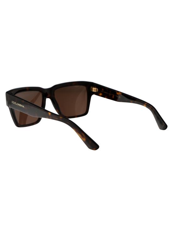 26SS 돌체앤가바나 선글라스 0DG4431 502 73 havana - DOLCE & GABBANA
