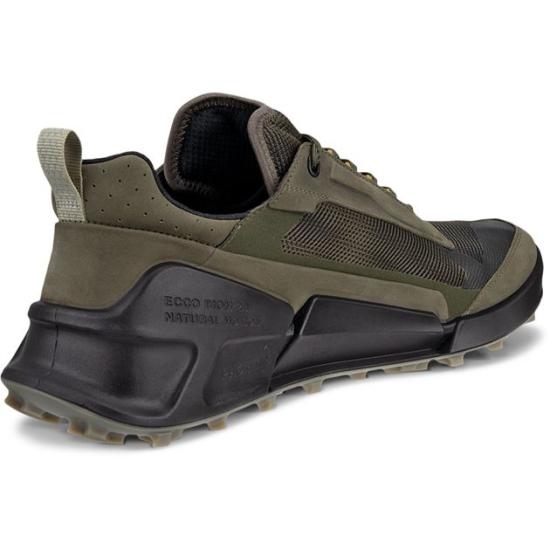 25FW 에코 드레스 슈즈 BIOM 2 1 X MTN WP 823814 60770 Grapeleaf tarmac black - ECCO