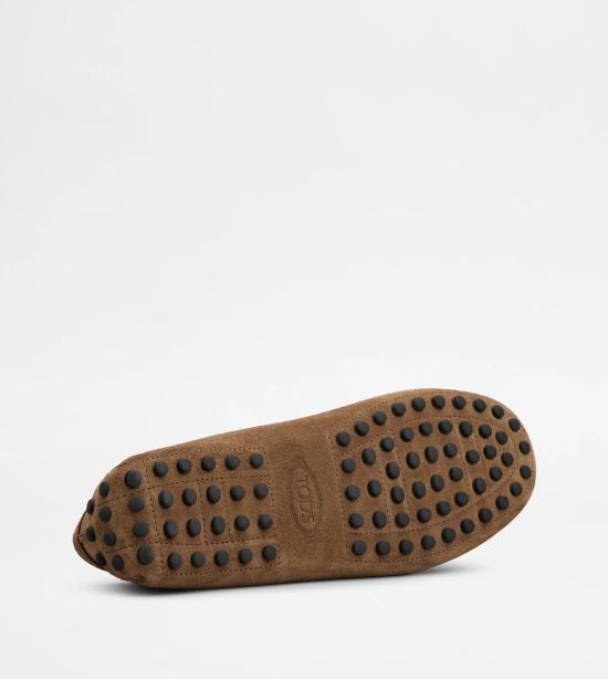 25FW 토즈 고미노 스웨이드 드라이빙 슈즈 XXM22L00010RE0S818 Brown - TODS