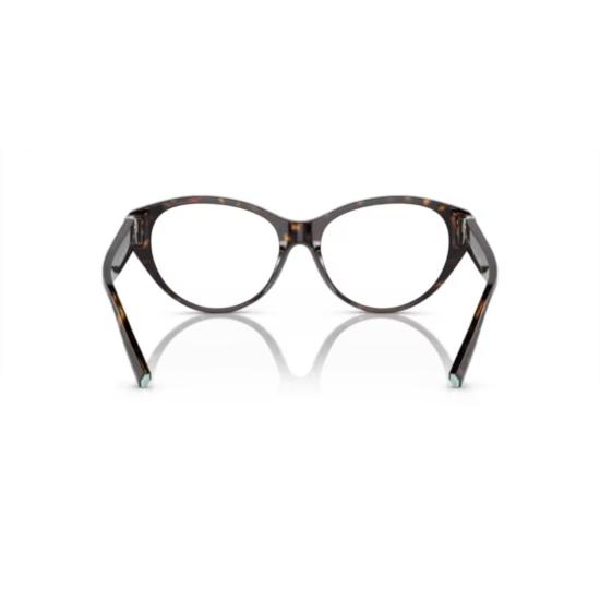 26SS 티파니앤코 선글라스 2244 VISTA 8015