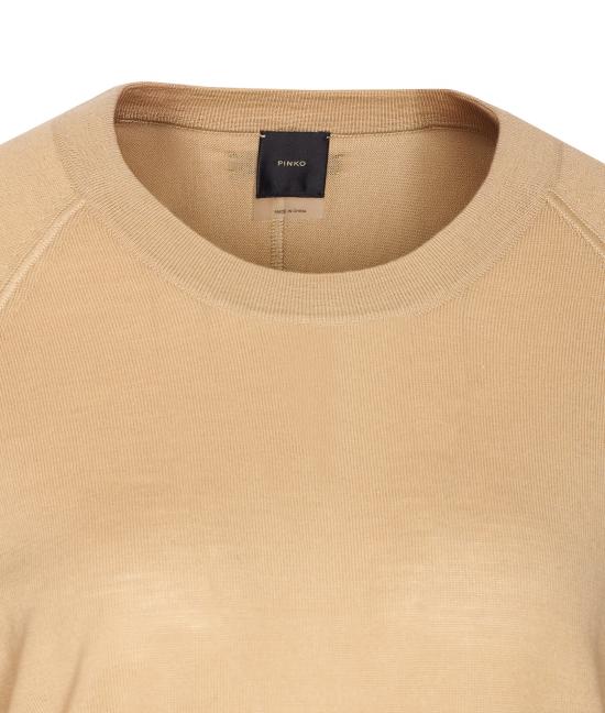 25FW 핑코 스웨터 105417 A2PUC65 Beige - PINKO