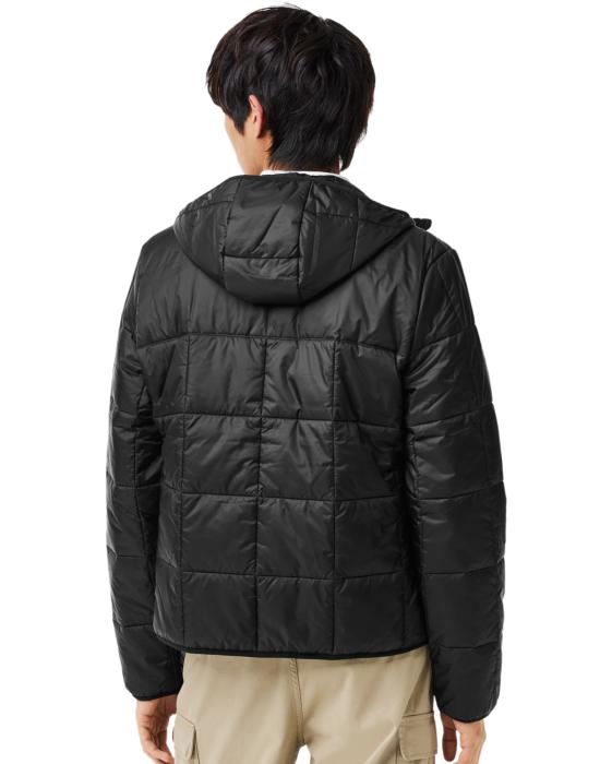 25FW 라코스테 패딩 BH166600C31 BLACK - LACOSTE