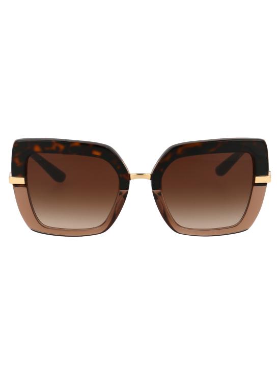  돌체앤가바나 선글라스 0DG4373 325613 HAVANA ON TRANSPARENT BROWN