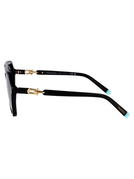 25SS 티파니앤코 선글라스 0TF4198 8001S4 BLACK - TIFFANY & CO