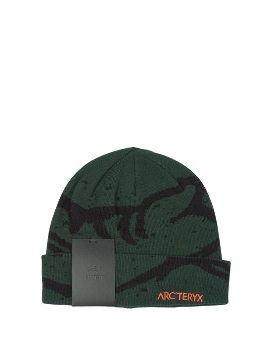 25FW 아크테릭스 비니 X000009253GROTTO TOQUEEDEN BLACK Green