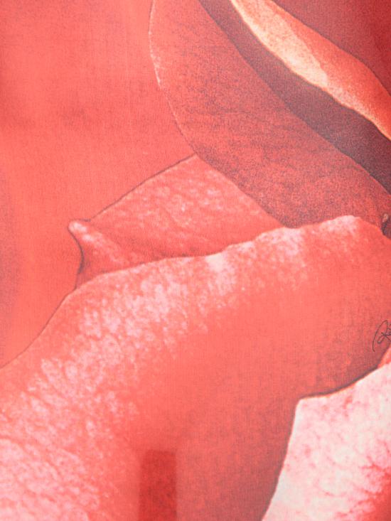 25SS 로베르토 카발리 롱 원피스 UKT180 CTN48 02000 Red - ROBERTO CAVALLI