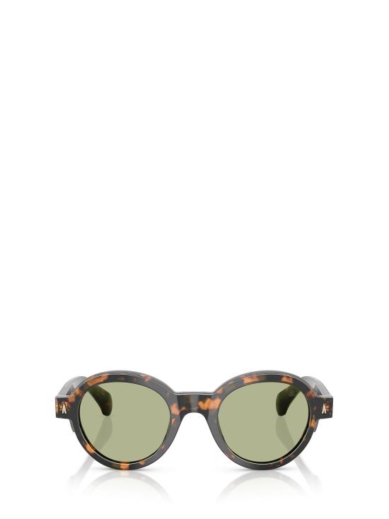 26FW 몽클레어 선글라스 ME6003 300682 BROWN GREEN HAVANA