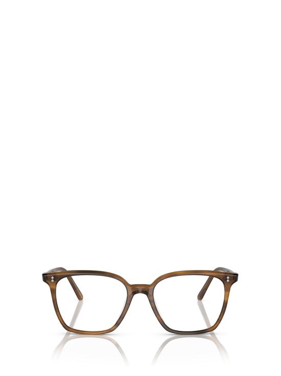 26FW 올리버피플스 안경 OV5488U 1011 RAINTREE