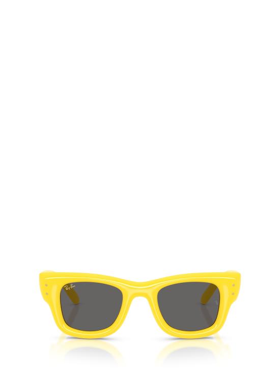 25FW 레이밴 선글라스 RB4940 683087 YELLOW