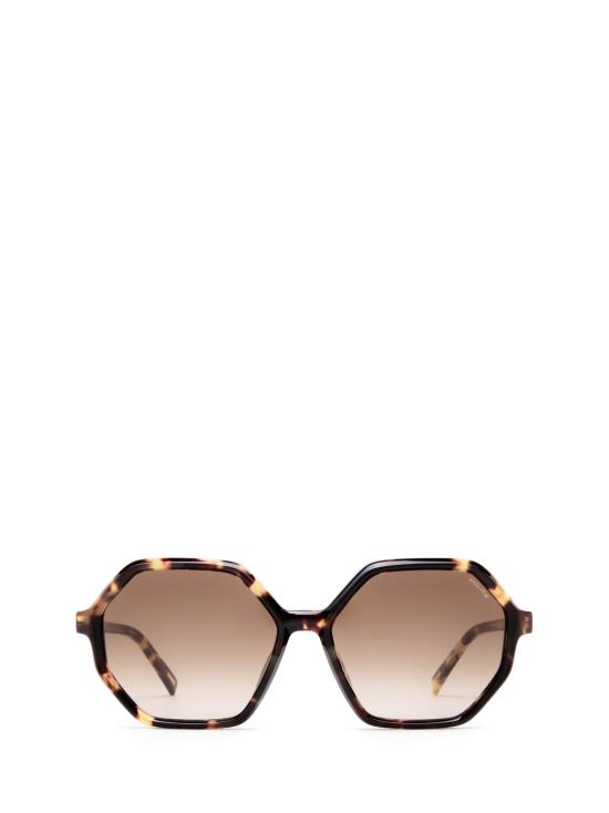 25FW 폴리스 선글라스 SPLF37 05AW HAVANA