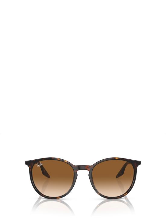 25FW 레이밴 선글라스 RB2204 902 51 HAVANA