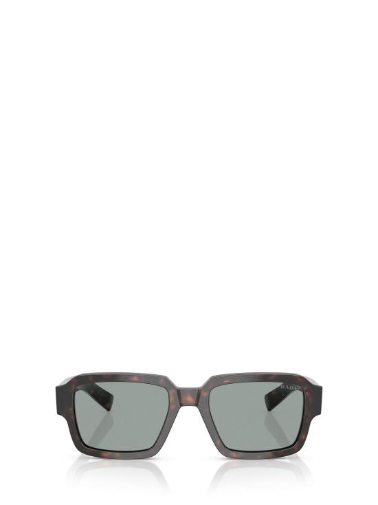 26FW 프라다 선글라스 PR 02ZS 17N20N ROOT TORTOISE