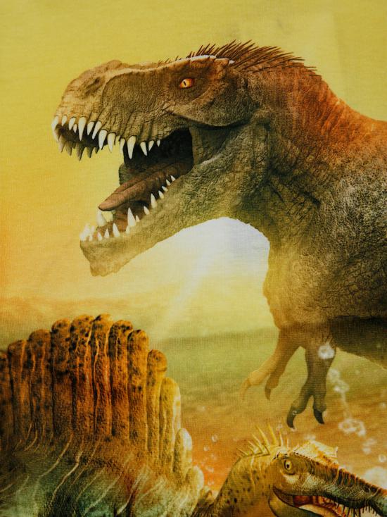 25SS [키즈] 몰로 티셔츠 1S25A213 ROXO 3873 SUNNY DINOS GIALLO - MOLO