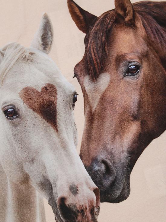  [키즈] 몰로 티셔츠 A07788920 3454 ROSA - MOLO