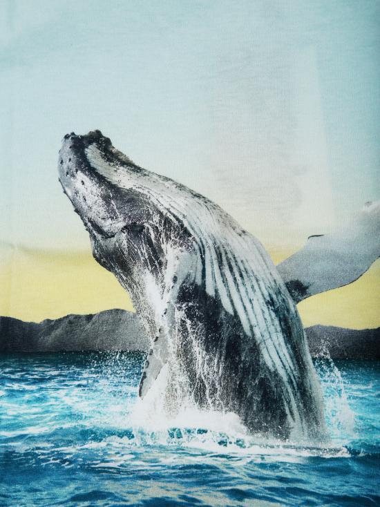 25SS [키즈] 몰로 티셔츠 1S25A212 RAME 3870 WHALE JUMP AZZURRO - MOLO