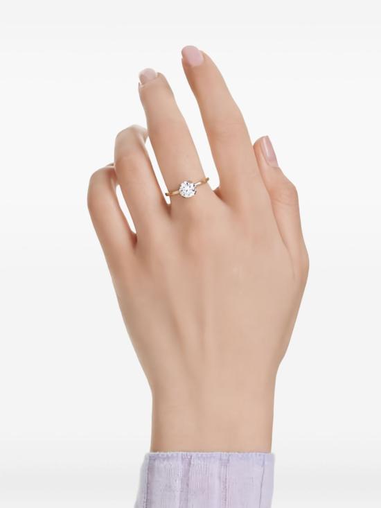 25FW 스와로브스키 액세서리 5717529 - SWAROVSKI