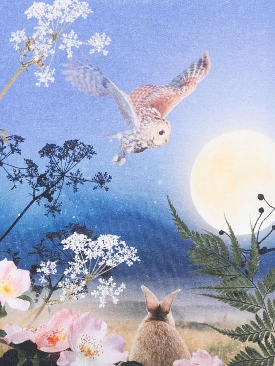 25FW [키즈] 몰로 티셔츠 2W25J211 9625 MAGIC MOONRISE - MOLO