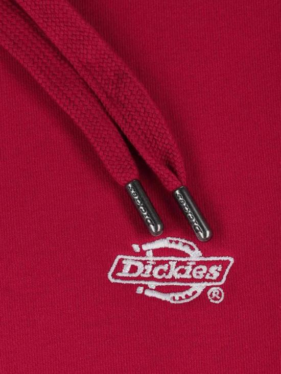 25SS 디키즈 긴팔 티셔츠 DK0A4Y6P 0ER1 Red - DICKIES