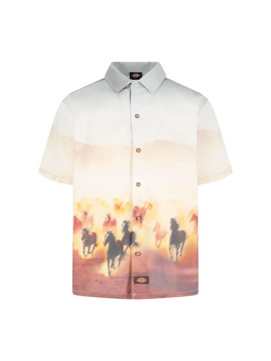 25SS 디키즈 반팔 셔츠 DK0A8676 K411 White