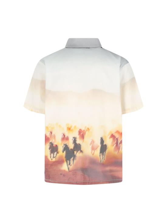 25SS 디키즈 반팔 셔츠 DK0A8676 K411 White - DICKIES