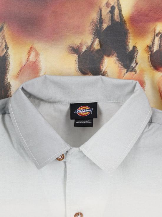 25SS 디키즈 반팔 셔츠 DK0A8676 K411 White - DICKIES