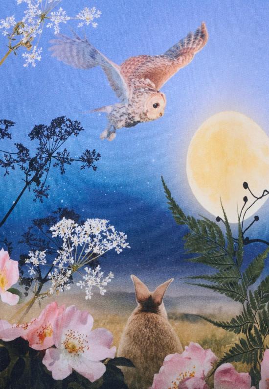 25FW [키즈] 몰로 니트/스웻셔츠 2W25J211 9625 BLUE - MOLO