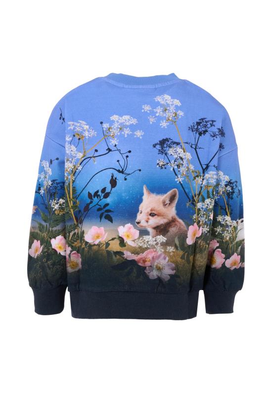 25FW [키즈] 몰로 니트/스웻셔츠 2W25J211 9625 BLUE - MOLO