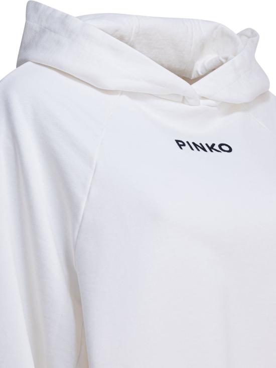 25FW 핑코 후드 티셔츠 105726A2URZ25 - PINKO