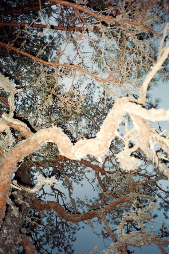  Monokel 안경 모노켈 엘리스 선글라스 - OTHER BRANDS