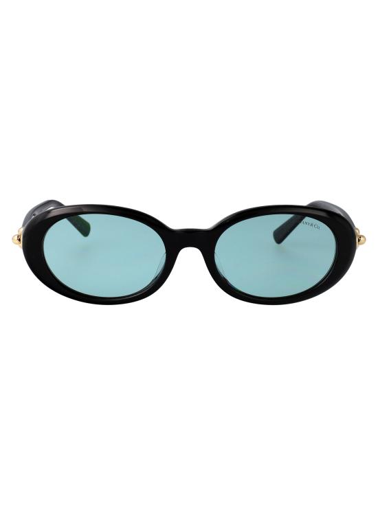 26SS 티파니앤코 선글라스 0TF4242D 8001D9 black