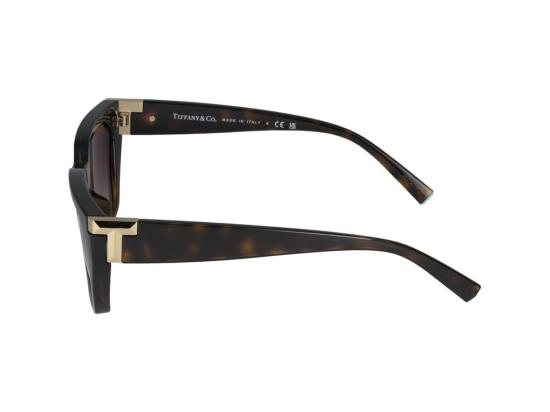  티파니앤코 선글라스 0TF4205U Brown - TIFFANY & CO