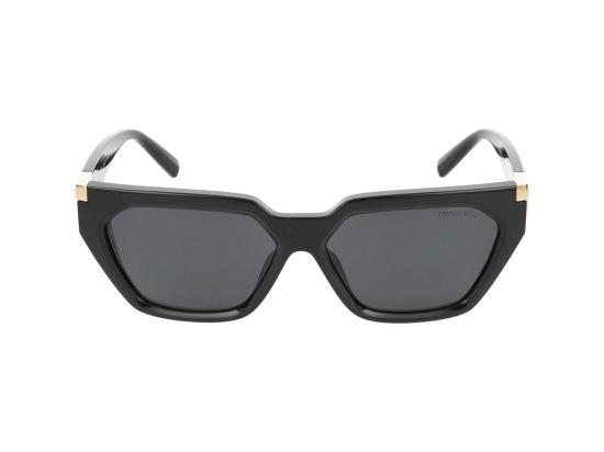  티파니앤코 선글라스 0TF4205U Black