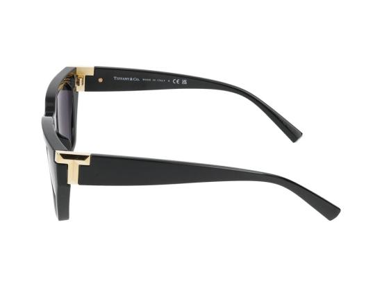  티파니앤코 선글라스 0TF4205U Black - TIFFANY & CO